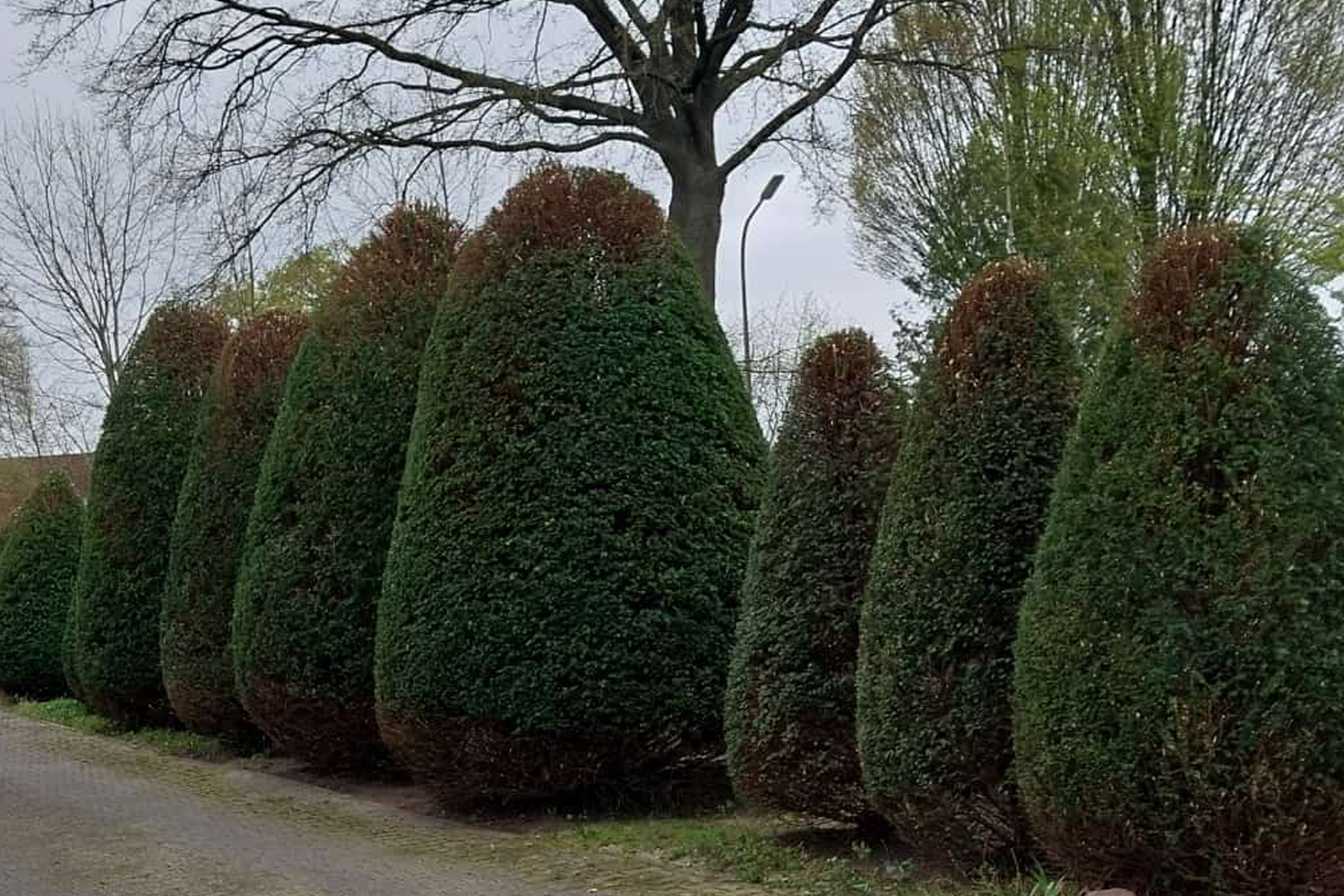 Gartenliebe Lippstadt