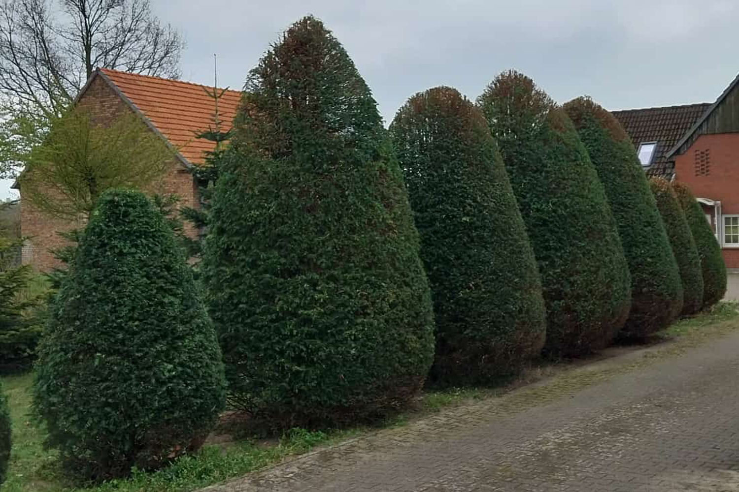 Gartenliebe Lippstadt